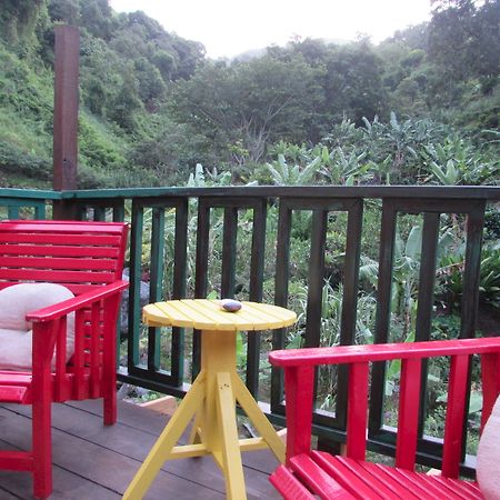 Rafjam Bed & Breakfast Kingston Bagian luar foto