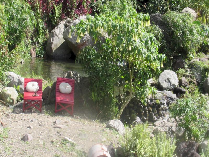 Rafjam Bed & Breakfast Kingston Bagian luar foto