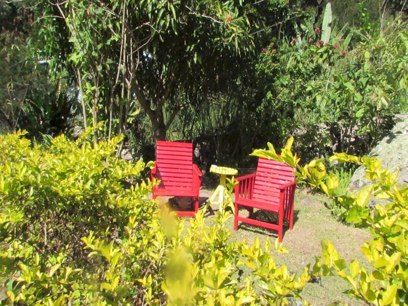 Rafjam Bed & Breakfast Kingston Bagian luar foto